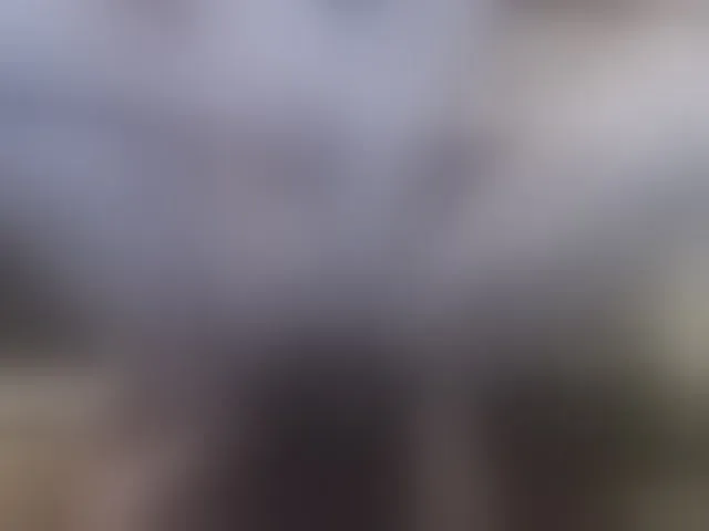 Live sex webcam photo for Zanguardik #293683310