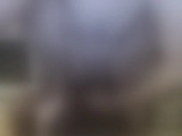 Live sex webcam photo for Zanguardik #293730340