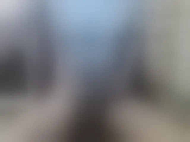 Live sex webcam photo for Zanguardik #293787236