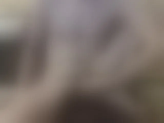 Live sex webcam photo for Zanguardik #293874361