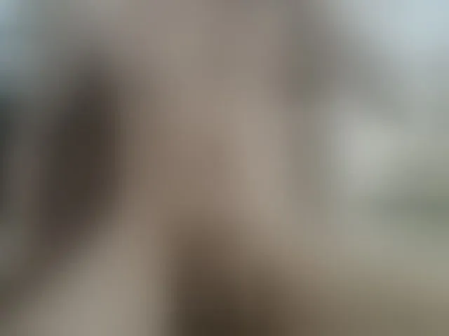 Live sex webcam photo for Zanguardik #293875627