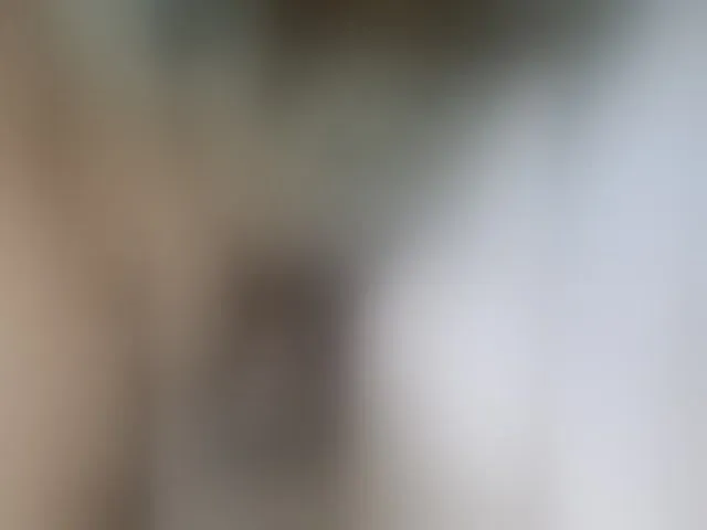 Live sex webcam photo for Zanguardik #293935579