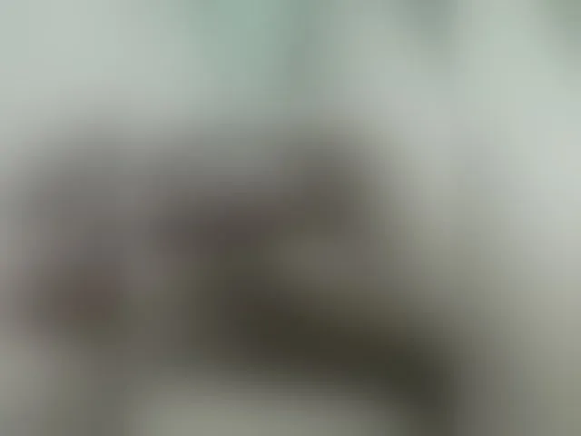 Live sex webcam photo for Zaqvong1 #293018543