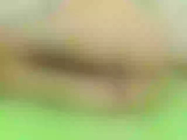 Live sex webcam photo for Zara-Blaaze #291087305