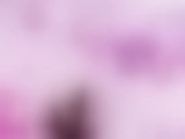 Live sex webcam photo for Zaradavis #292784964