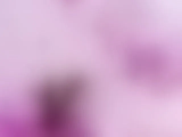Live sex webcam photo for Zaradavis #292997084