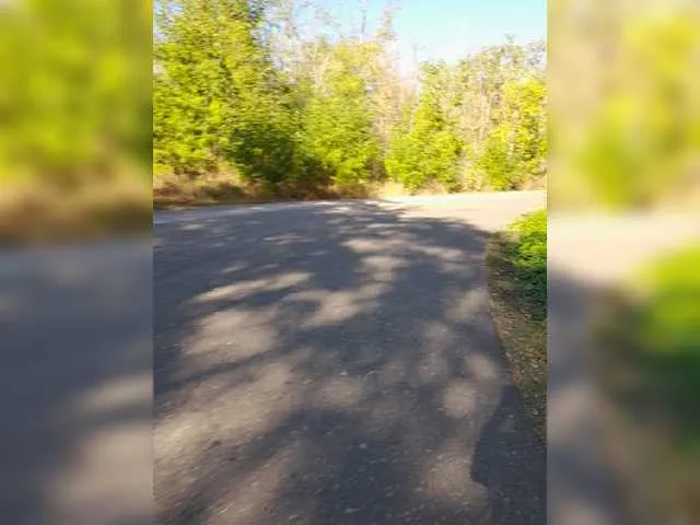 Live sex webcam photo for Zarevna #276467376