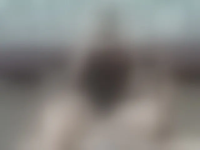 Live sex webcam photo for Zarevna #294052317