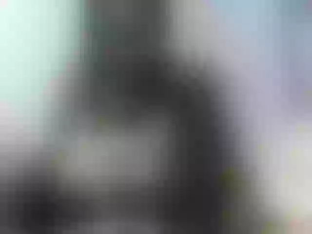 Live sex webcam photo for Zawadi95 #277808483