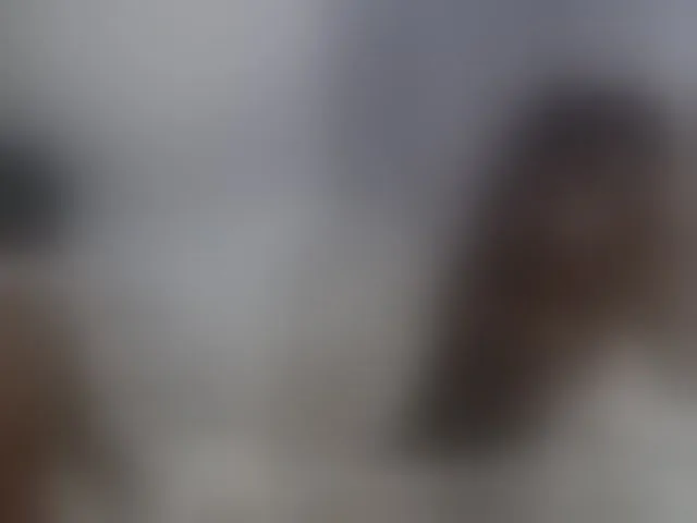 Live sex webcam photo for Zawadi95 #293838955