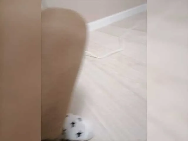 Live sex webcam photo for Zbad1273zm #278185901