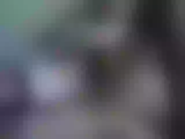Live sex webcam photo for Zefirchik #291432304