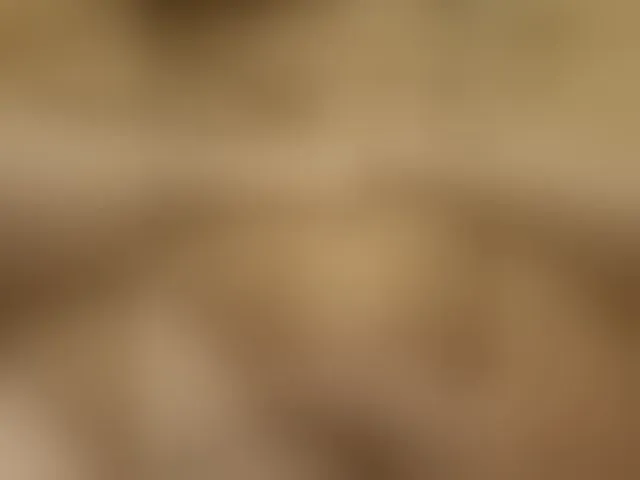 Live sex webcam photo for Zefirchik #291623842