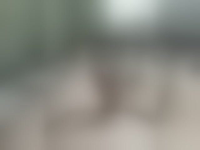 Live sex webcam photo for Zefirchik #293997422