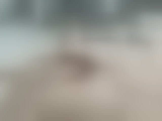 Live sex webcam photo for Zefirchik #294011820