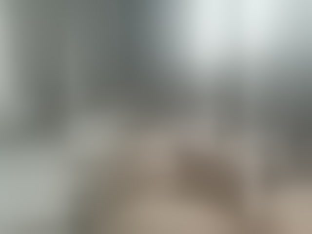 Live sex webcam photo for Zefirchik #294016678