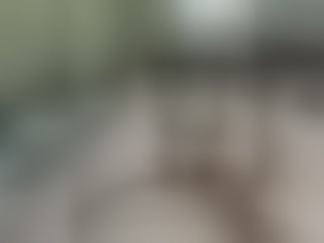 Live sex webcam photo for Zefirchik #294040470