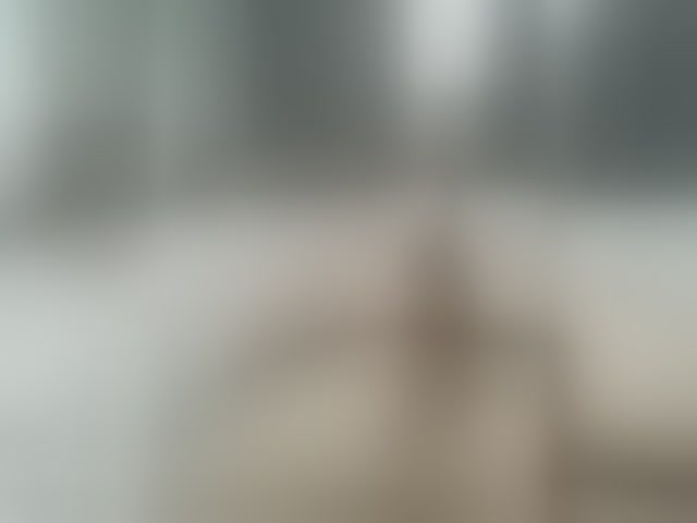 Live sex webcam photo for Zefirchik #294045099