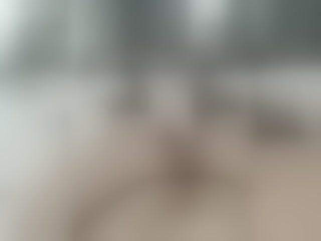 Live sex webcam photo for Zefirchik #294078814