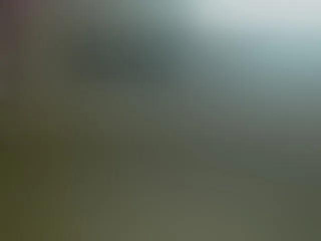 Live sex webcam photo for ZeinMiracles #293241680