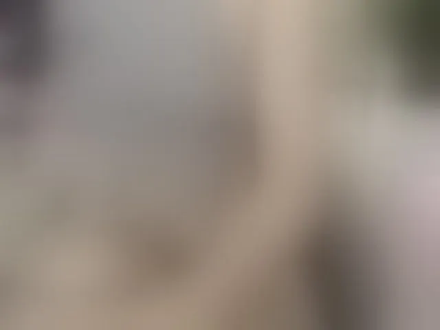 Live sex webcam photo for Zem-Fortunately #292702705