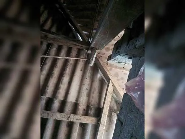 Live sex webcam photo for Zhan9 #290345368