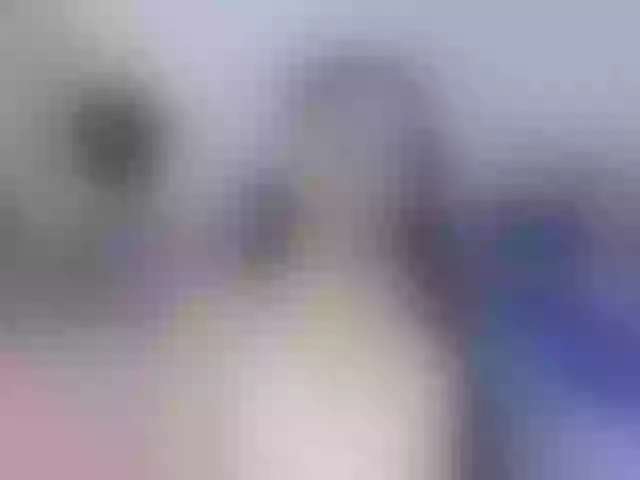 Live sex webcam photo for ZoeValentina #292204924
