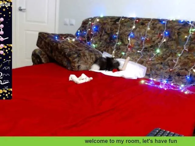 Live sex webcam photo for ZulfiyaBruce #271843456