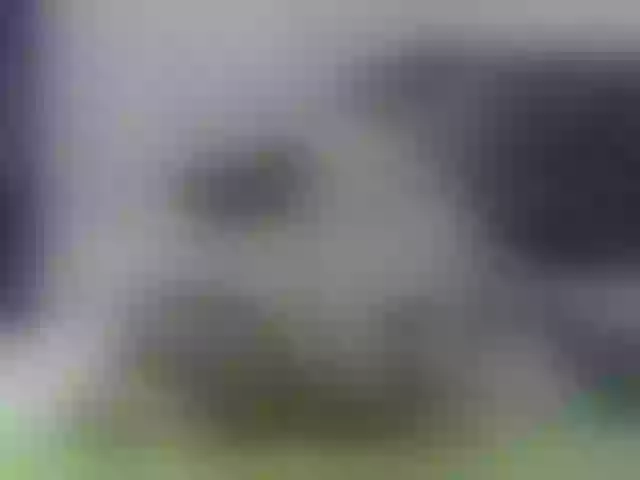 Live sex webcam photo for ZulfiyaBruce #271968291