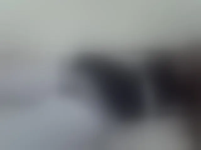 Live sex webcam photo for ZuriSecrets #293600778