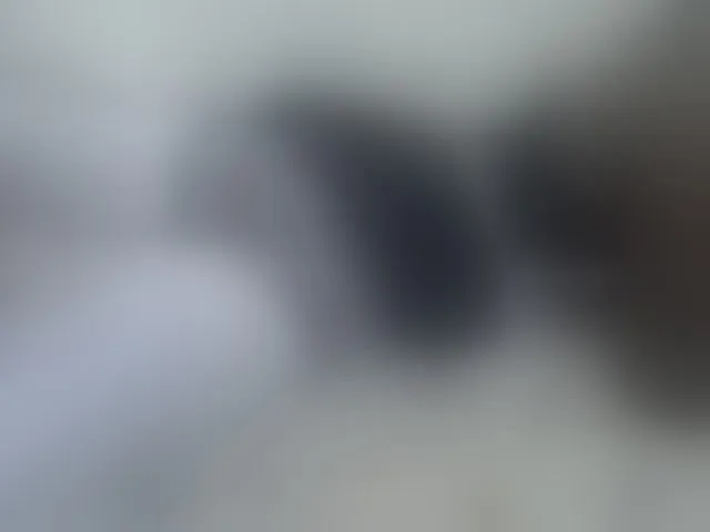 Live sex webcam photo for ZuriSecrets #293625380