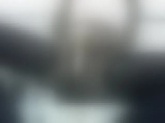 Live sex webcam photo for ZuriSecrets #293732501