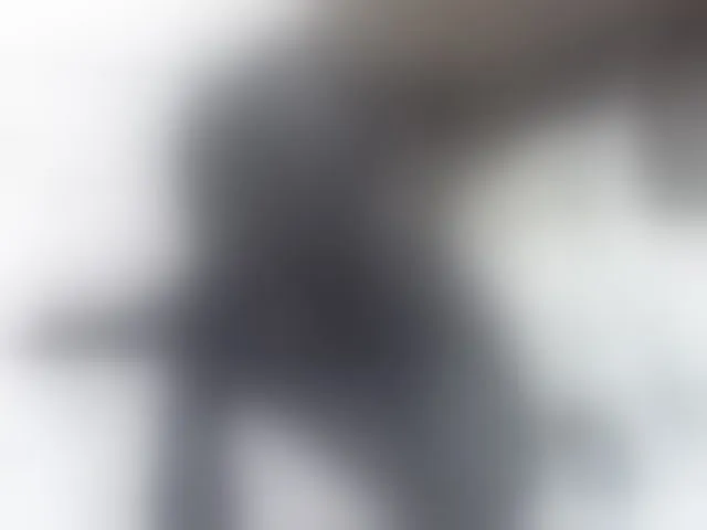 Live sex webcam photo for ZuriSecrets #293756446