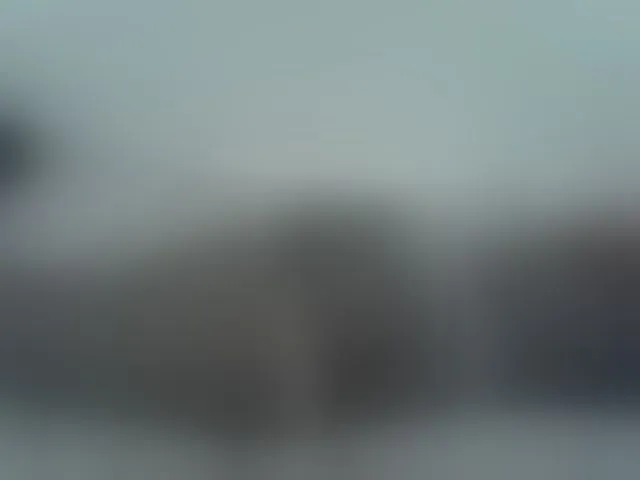 Live sex webcam photo for ZuriSecrets #293778775