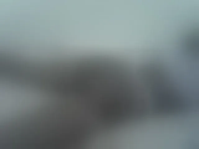 Live sex webcam photo for ZuriSecrets #293785282
