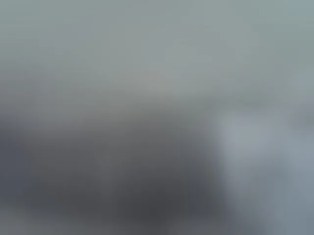 Live sex webcam photo for ZuriSecrets #293802864
