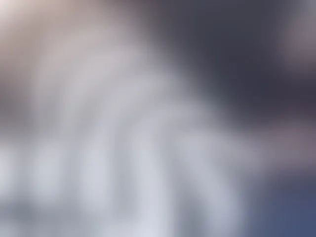 Live sex webcam photo for ZuriSecrets #293893986