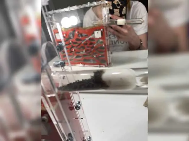 Live sex webcam photo for ____-_-____ #272429843