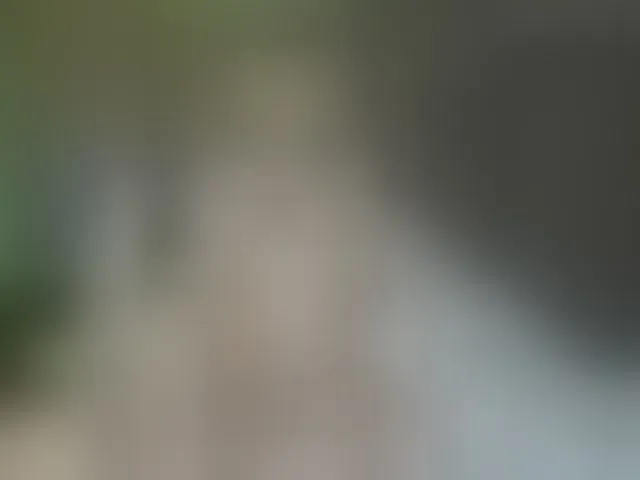 Live sex webcam photo for a-squirter #293738023