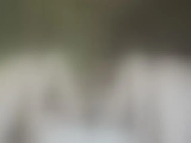 Live sex webcam photo for a-squirter #293739912