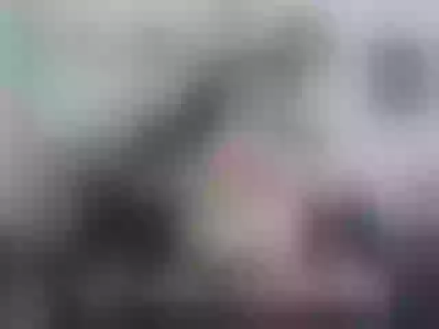 Live sex webcam photo for aaron-nvk #291533667