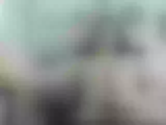 Live sex webcam photo for aaron-nvk #291858030