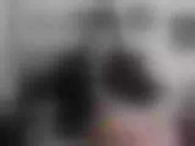 Live sex webcam photo for aaron-nvk #292226556