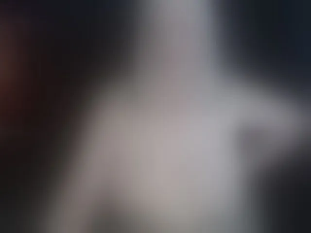Live sex webcam photo for abbinatural #293544227
