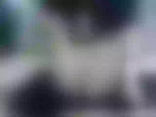 Live sex webcam photo for abellanicole #273523887