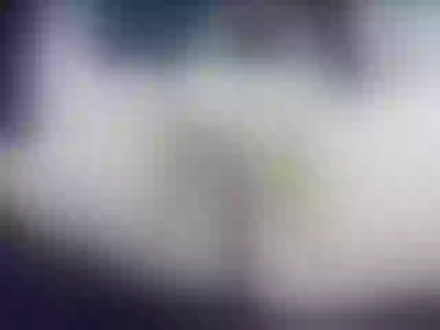 Live sex webcam photo for abiailcurvy #273888820