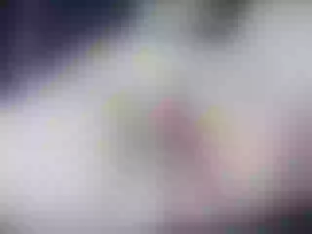 Live sex webcam photo for abiailcurvy #274222978