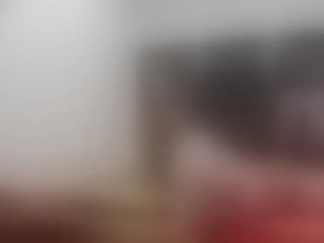 Live sex webcam photo for ada-brooke #291973388