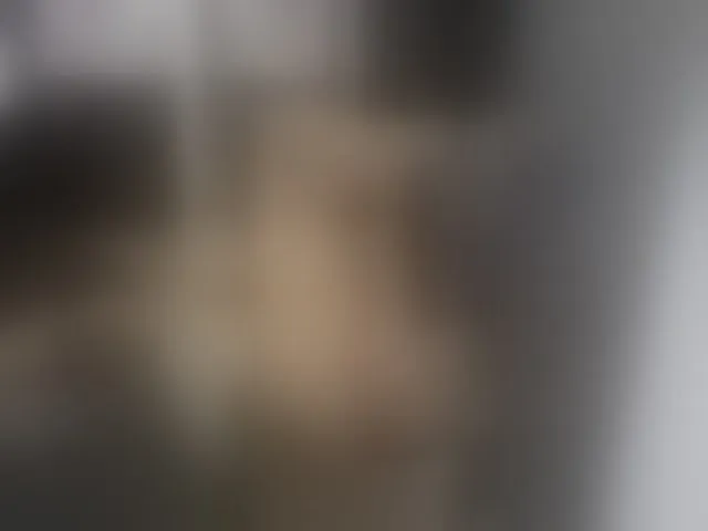 Live sex webcam photo for ada-brooke #293008770