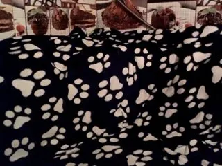 Live sex webcam photo for adalis44 #194770282